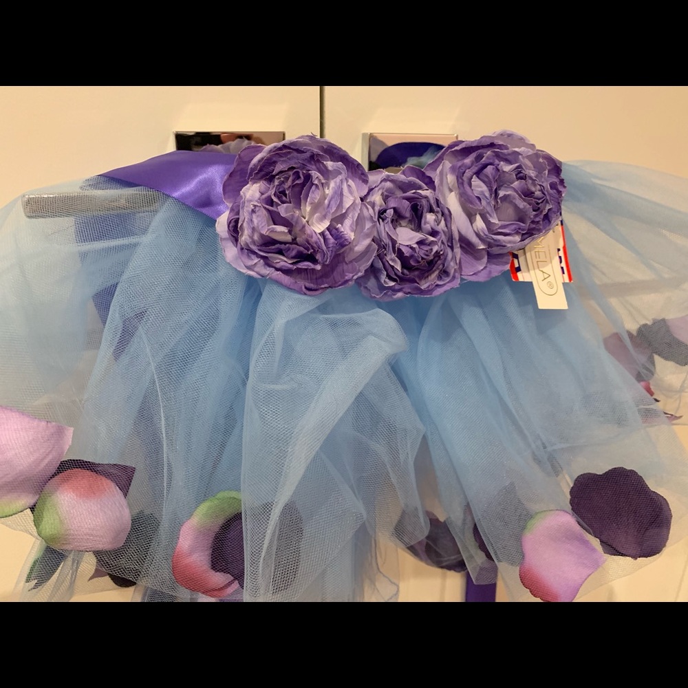 Beautiful tutu